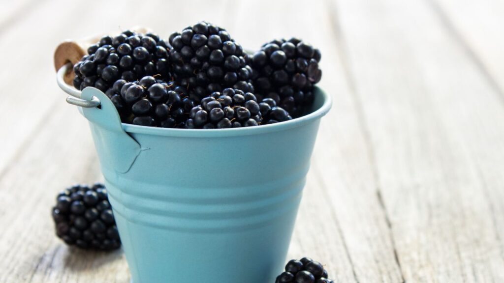 Blackberries