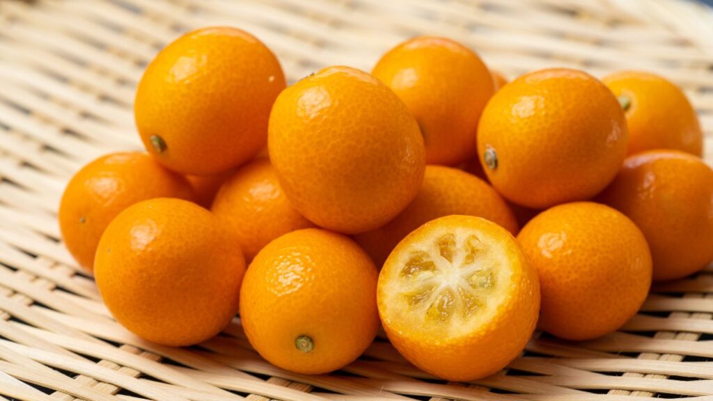 Kumquats for winter